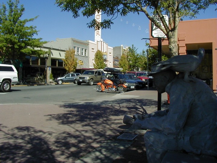 OLYMPUS DIGITAL CAMERA